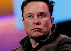 Hội bạn thân của Elon Musk gặp phiền phức vì Twitter