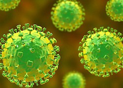 Loại virus mới phát hiện ở Trung Quốc nguy hiểm như thế nào?