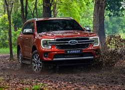 Thị trường ô tô Việt Nam tháng 7/2022: Phân khúc SUV và Pickup - Ford Everest sụt giảm doanh số 'khó hiểu'