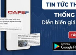 Ứng dụng nhắn tin nào được yêu thích nhất tại từng quốc gia trên thế giới - có thu phí không?