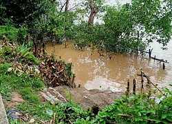 Vĩnh Long: Nghỉ hè về quê chơi, 2 chị em đuối nước tử vong