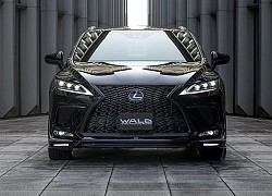 Bản độ thể thao của Lexus RX F Sport