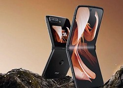 Xiaomi, Motorola đồng loạt ra mắt smartphone màn hình gập