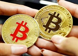 Giá Bitcoin hôm nay 15/8: Bitcoin quay đầu, thị trường đỏ lửa