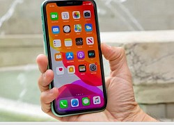 Giá iPhone 11 giảm hơn một nửa tại Việt Nam