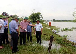 Hải Dương: Chủ động bảo vệ khu vực đê trọng yếu trong mùa mưa bão