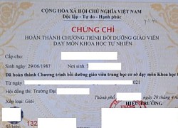 Học 4 năm đại học không bằng 3 tháng bồi dưỡng, sao vô lý thế?