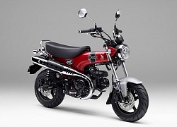 Honda Dax ST125 2022 hồi sinh sau 41 năm ở ẩn