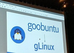 Câu chuyện đằng sau hệ điều hành Linux "chính chủ" của Google