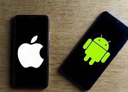 Apple: Số người chuyển đổi sang iPhone ngày càng nhiều