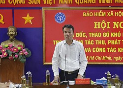 Tháo gỡ vướng mắc trong phát triển người tham gia BHXH, BHYT tại các tỉnh phía Nam