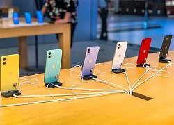 Thị trường Việt Nam của Apple đang thăng hạng?