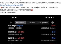 "Bẫy" Forex vẫn hút nhà đầu tư