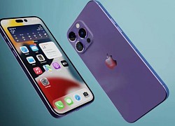 BOE liệu có đủ "trình" để kiếm tiền từ màn hình của iPhone 14?