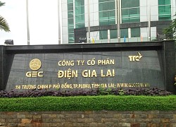 Công ty Nhật Bản chi 112 triệu USD để mua cổ phần của GEC Việt Nam