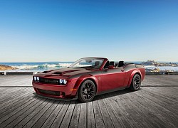 Dodge Challenger bản mui trần lộ diện