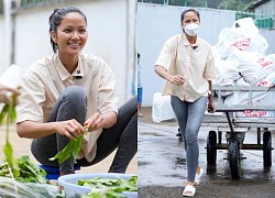 H'Hen Niê để mặt mộc, đi dép tổ ong làm từ thiện: Vác gạo như đàn ông