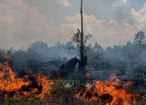 Indonesia huy động nhiều máy bay túc trực phòng cháy rừng