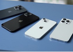 iPhone 14 ra mắt ngày 7/9?