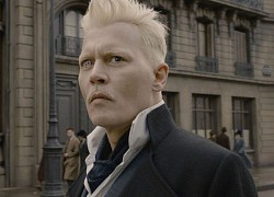 Johnny Depp có thể sẽ trở lại với phim Fantastic Beasts