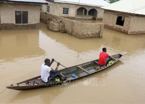 Nigeria: Lũ lụt nghiêm trọng phá huỷ hàng nghìn ngôi nhà, làm ít nhất 50 người thiệt mạng