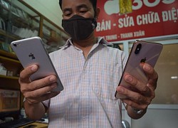 Rủi ro khi mua iPhone đời cũ "không tai thỏ"