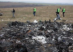 Vụ rơi máy bay MH17: Tòa án Hà Lan ấn định thời điểm công bố phán quyết