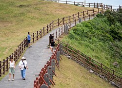 7 điểm đến không thể bỏ lỡ tại Jeju