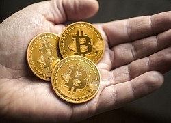 Giá Bitcoin hôm nay 19/8: Bitcoin sụt giảm trong lửa đỏ thị trường