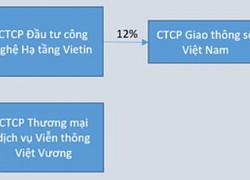 Phép tính của Việt Vương Telecom ở VDTC - đơn vị sở hữu ePass