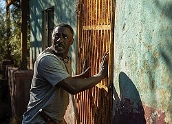 Idris Elba và những chia sẻ bất ngờ về vai diễn mới trong siêu phẩm sinh tồn 'Quái thú'