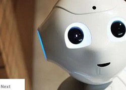 Mất 150.000 USD vì đùa với robot giao dịch