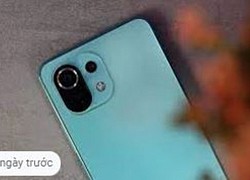 Xiaomi 11 Lite 5G NE ra mắt phiên bản xanh bạc hà