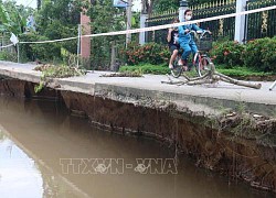 Tiền Giang: Đê bao Tây Ba Rày sạt lở nghiêm trọng