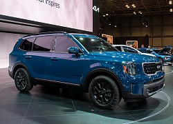 Top 10 xe SUV 6 chỗ tốt nhất năm 2022: Kia Telluride đầu bảng