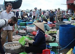6 chợ hải sản đông đúc nhất Quảng Ninh