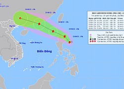 Áp thấp nhiệt đới đã mạnh lên thành bão, gió giật cấp 10