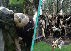 Bí ẩn hòn đảo Mexico đầy rẫy búp bê ngoại hình kỳ dị, ám ảnh mỗi khi ghé thăm