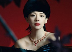 Chương Tử Di từ chối đạo diễn phim Bố già