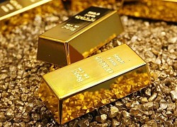 Giá vàng hôm nay 23/8: Vàng rơi tự do