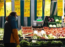 Lạm phát tăng kéo lùi kinh tế châu Âu