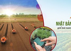Nhật Bản đem "đám mây" giải bài toán nông nghiệp thông minh