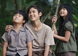Sao nhí "Tôi Thấy Hoa Vàng Trên Cỏ Xanh" ngày càng điển trai, ưu tiên học vấn khi sự nghiệp đang lên
