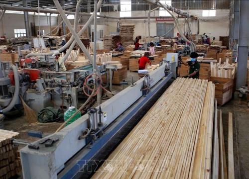 Thông tin việc Hoa Kỳ điều tra lẩn tránh phòng vệ thương mại với gỗ dán và tủ gỗ từ Việt Nam