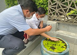 TP.HCM: Hơn 46.000 ca sốt xuất huyết, 18 ca tử vong tính từ đầu 2022