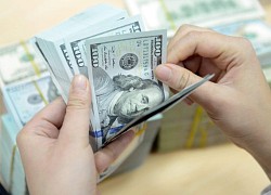 Tỷ giá USD hôm nay 24/8: Giảm nhẹ nhưng vẫn ở ngưỡng cao