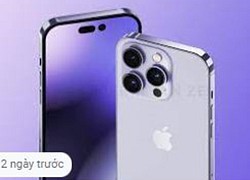 Apple bắt đầu sản xuất iPhone 14 tại Ấn Độ