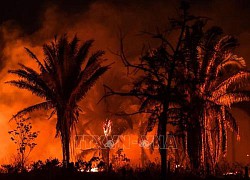 Brazil: Cháy rừng Amazon nghiêm trọng nhất 15 năm, có ngày xảy ra hơn 3.300 vụ cháy