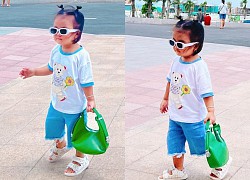 Con sao Việt tập làm fashionista, xách túi hiệu xuống phố