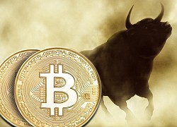 Giá Bitcoin hôm nay 25/8: Bitcoin bớt u ám, chuyên gia lạc quan